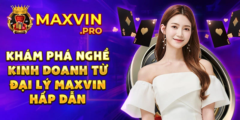 Khám Phá Nghề Kinh Doanh Từ Đại Lý Maxvin Hấp Dẫn