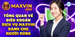 Tổng quan về điều khoản dịch vụ maxvin dành cho người dùng